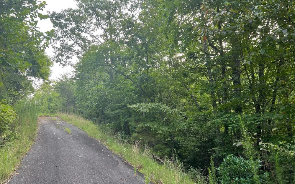 LOT 11 Preserve At Beach Mountain Brasstown, NC 28902