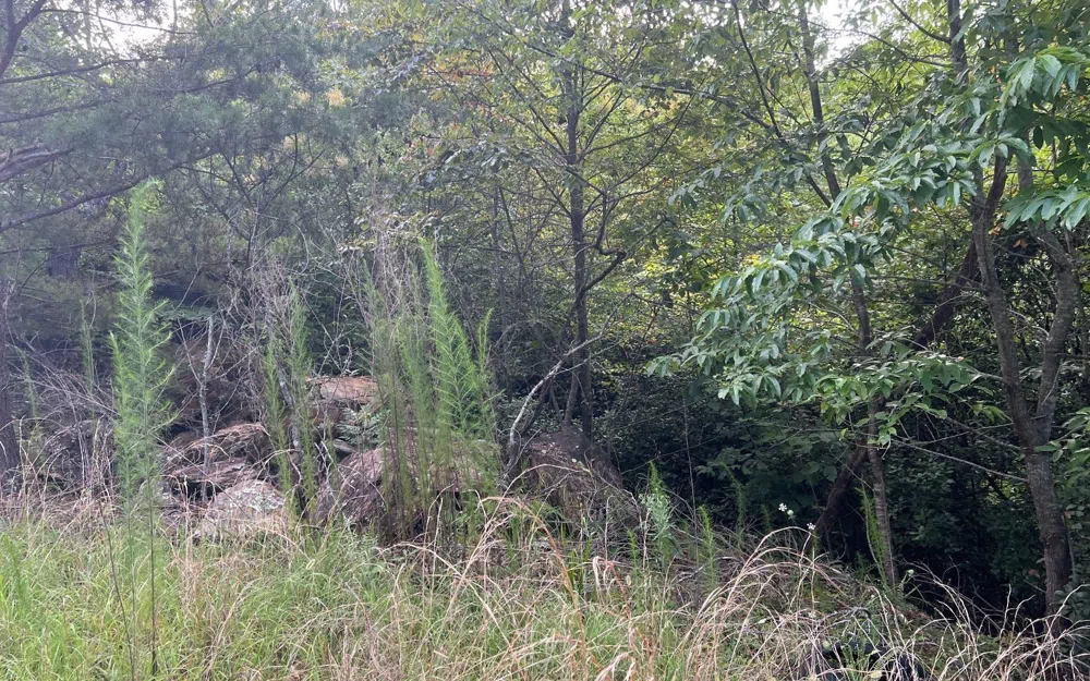 LOT 11 Preserve At Beach Mountain Brasstown, NC 28902