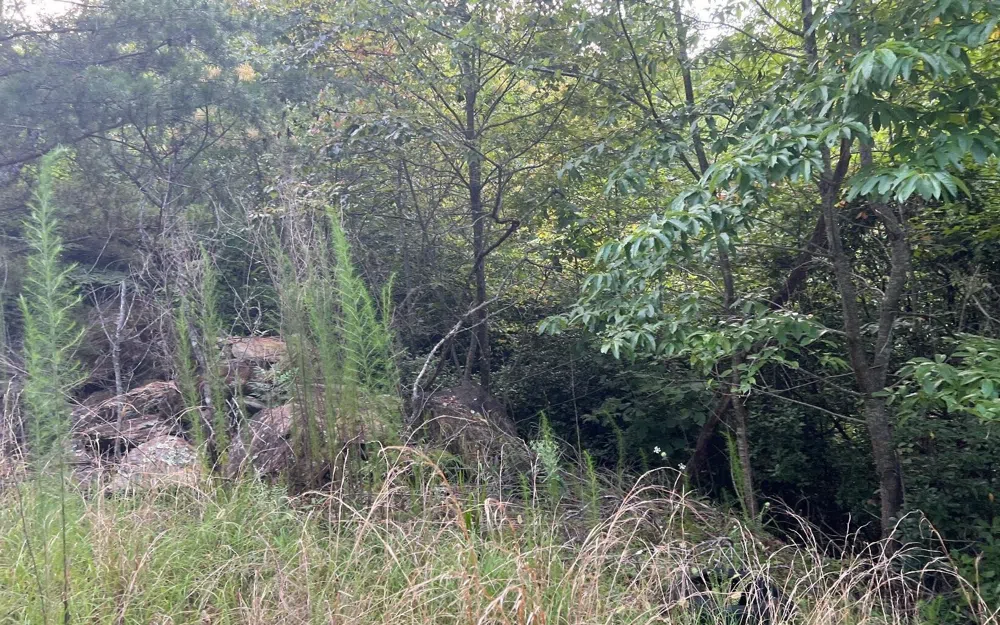 LOT 11 Preserve At Beach Mountain Brasstown, NC 28902