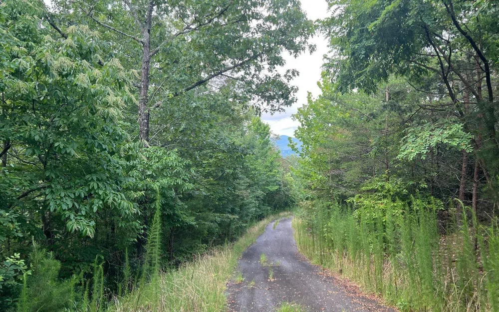 LOT 11 Preserve At Beach Mountain Brasstown, NC 28902