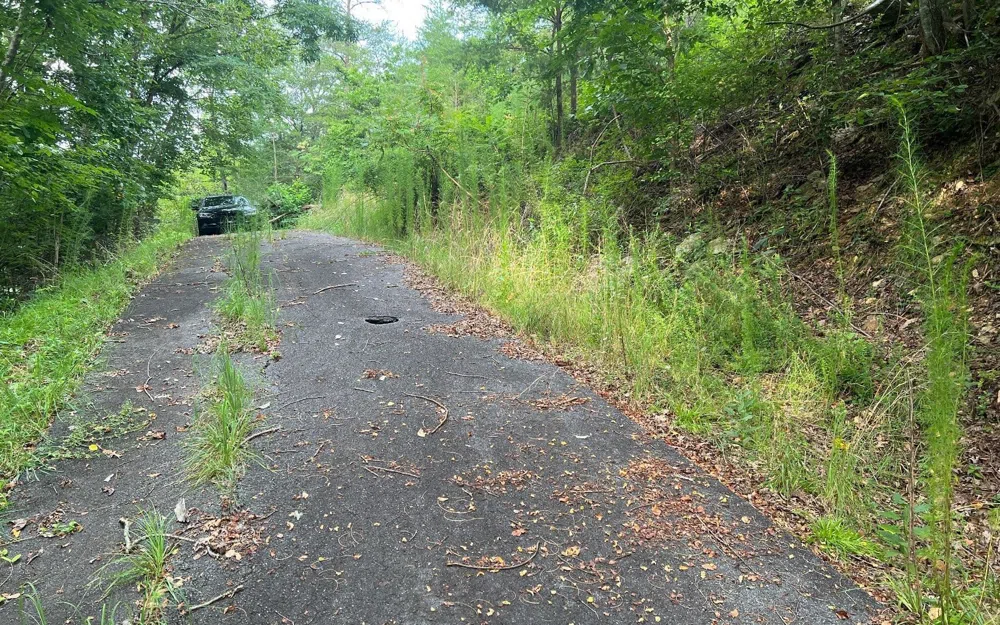LOT 11 Preserve At Beach Mountain Brasstown, NC 28902
