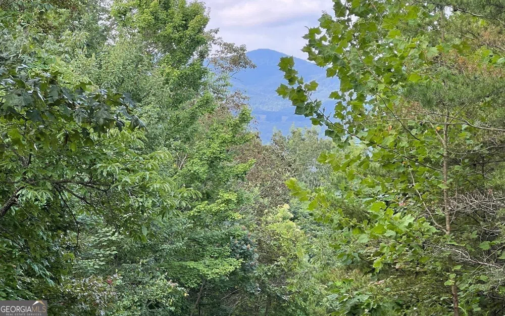 LOT 11 Preserve At Beach Mountain Brasstown, NC 28902