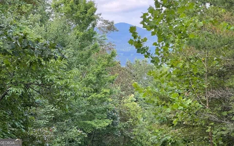 LOT 11 Preserve At Beach Mountain