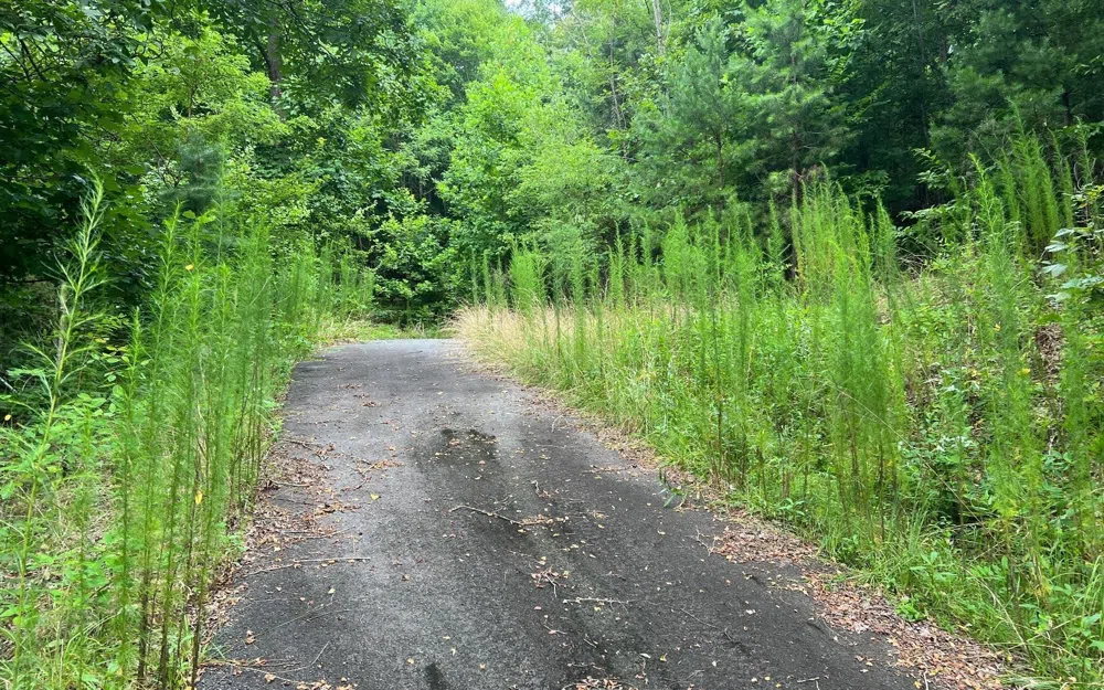 LOT 12 Preserve At Beach Mountain Brasstown, NC 28902