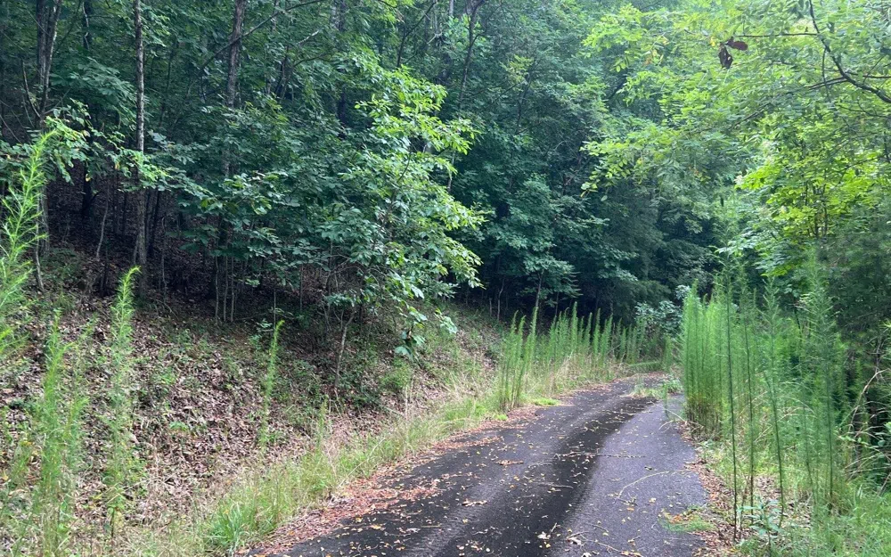 LOT 12 Preserve At Beach Mountain Brasstown, NC 28902