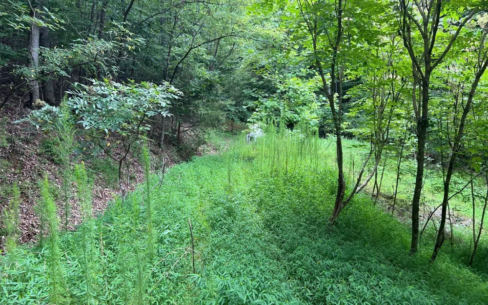 LOT 12 Preserve At Beach Mountain Brasstown, NC 28902