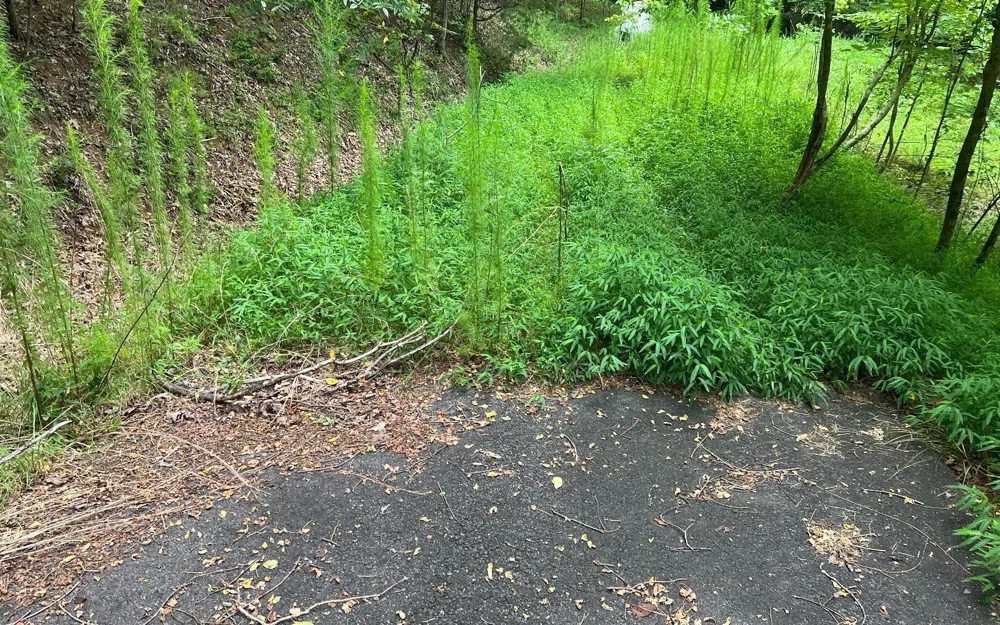LOT 12 Preserve At Beach Mountain Brasstown, NC 28902