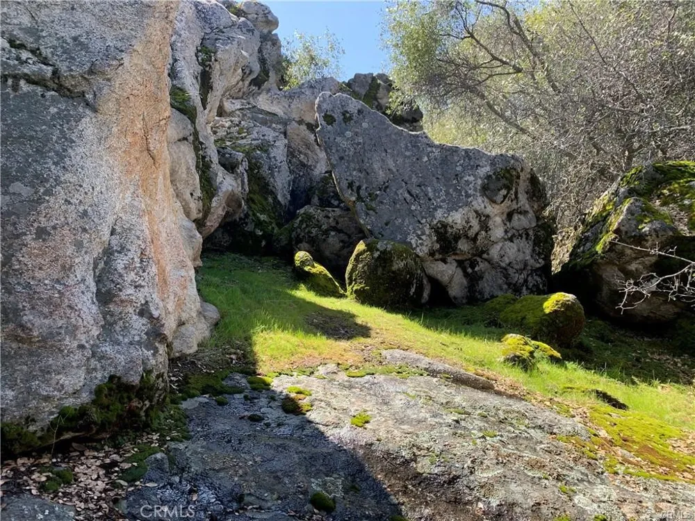 1234 Quartz Mountain Coarsegold, CA 93614