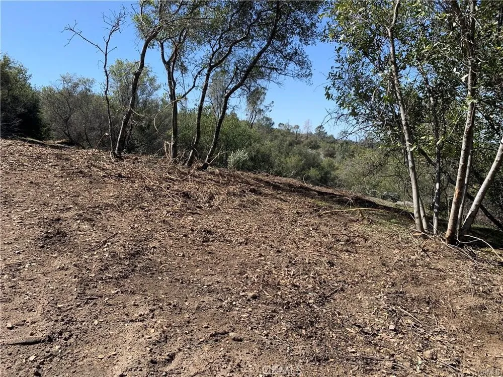 1234 Quartz Mountain Coarsegold, CA 93614