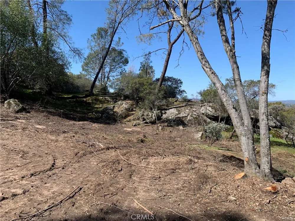 123 Quartz Mountain Coarsegold, CA 93614