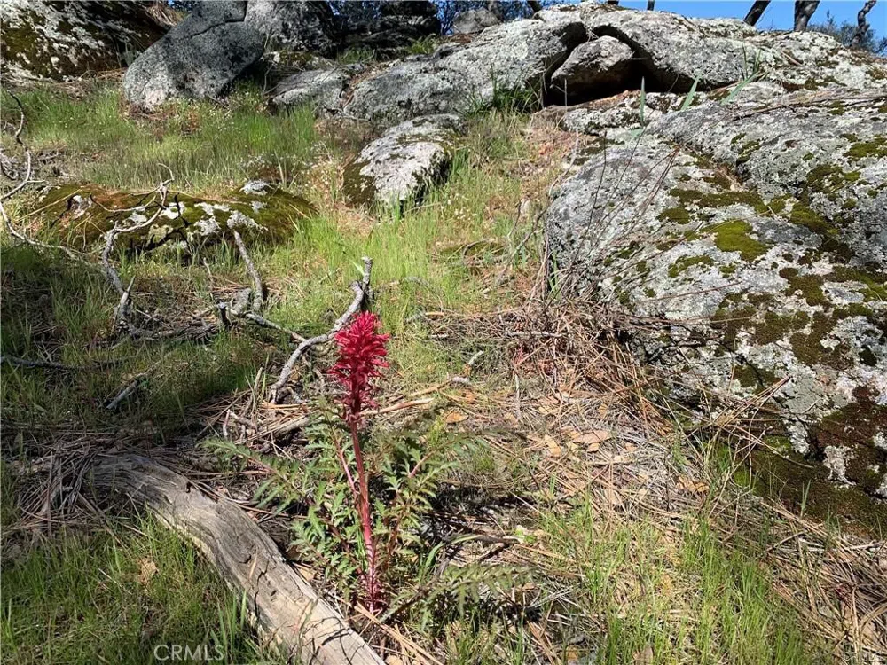 123 Quartz Mountain Coarsegold, CA 93614