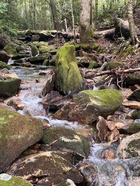619 Speckled Feather Pass Sapphire, NC 28774