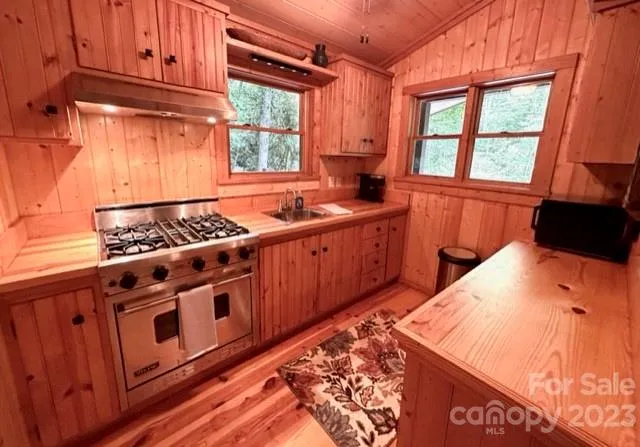 619 Speckled Feather Pass Sapphire, NC 28774