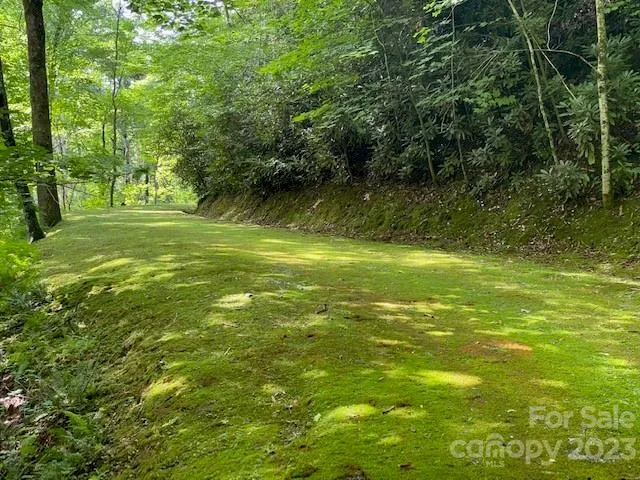 619 Speckled Feather Pass Sapphire, NC 28774