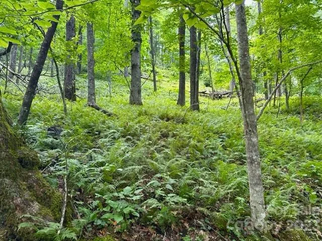 619 Speckled Feather Pass Sapphire, NC 28774