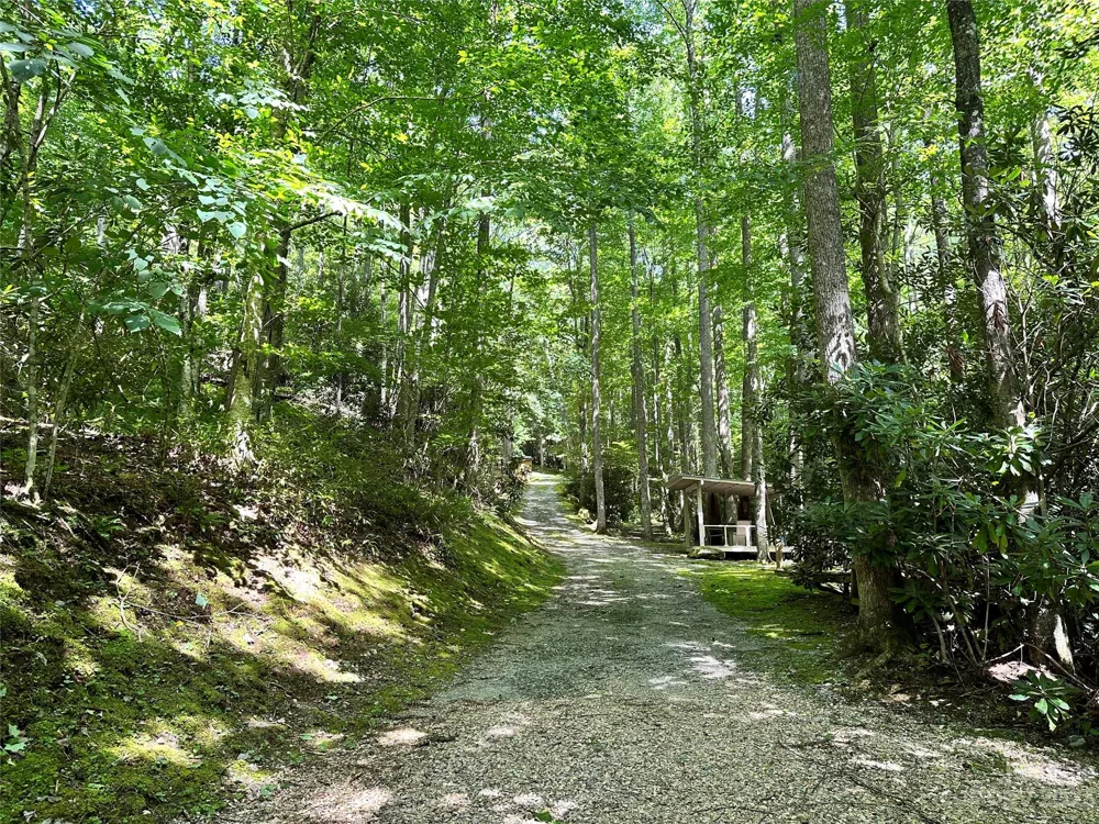 619 Speckled Feather Pass Sapphire, NC 28774