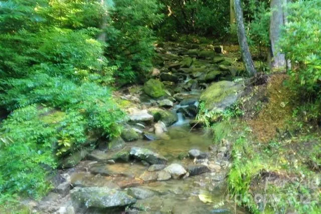 619 Speckled Feather Pass Sapphire, NC 28774