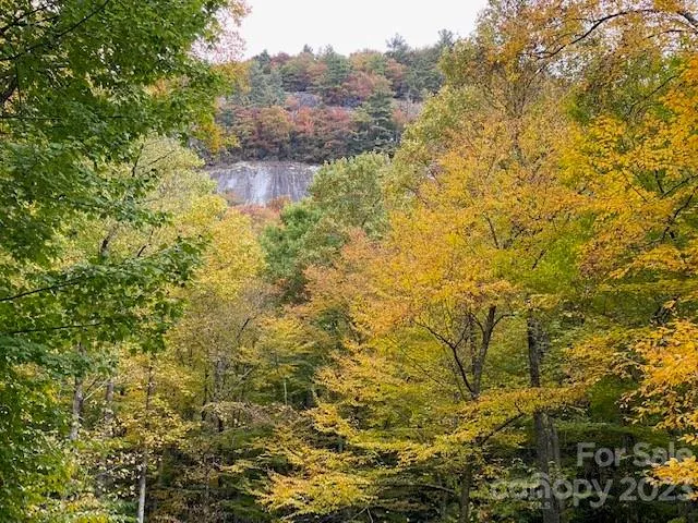 619 Speckled Feather Pass Sapphire, NC 28774