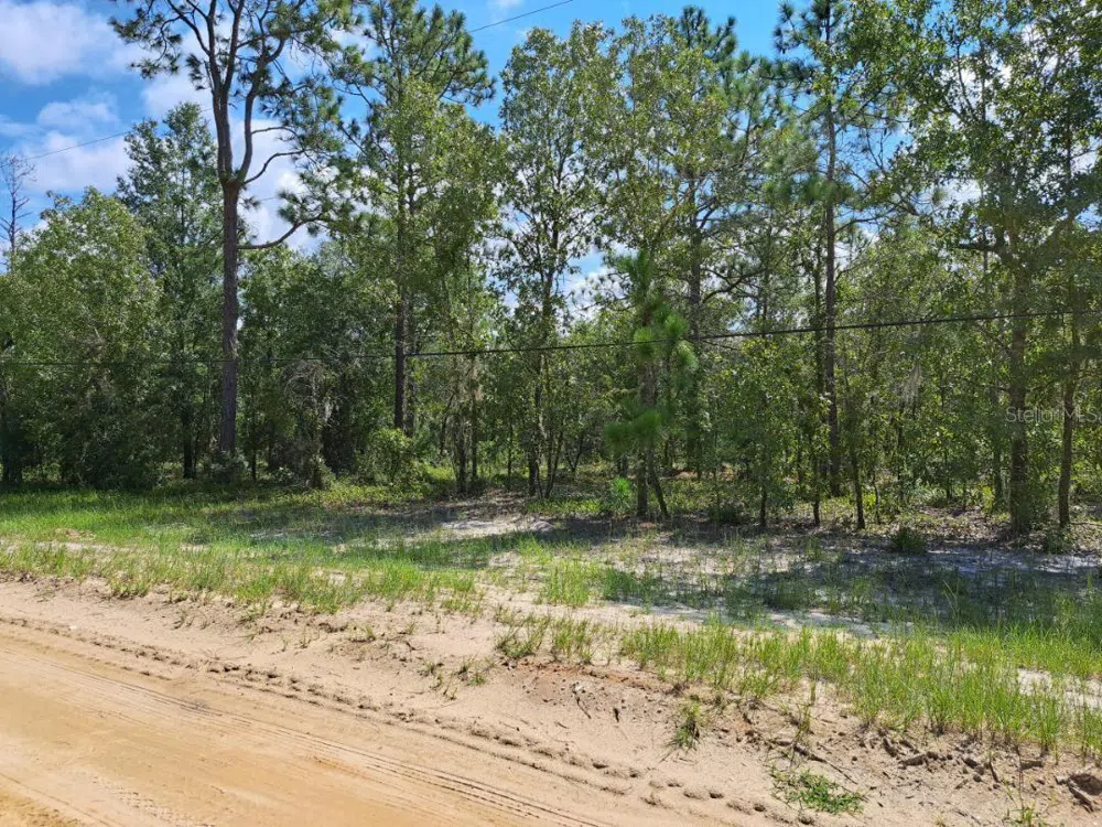 216 HIGHLAND DRIVE Hawthorne, FL 32640