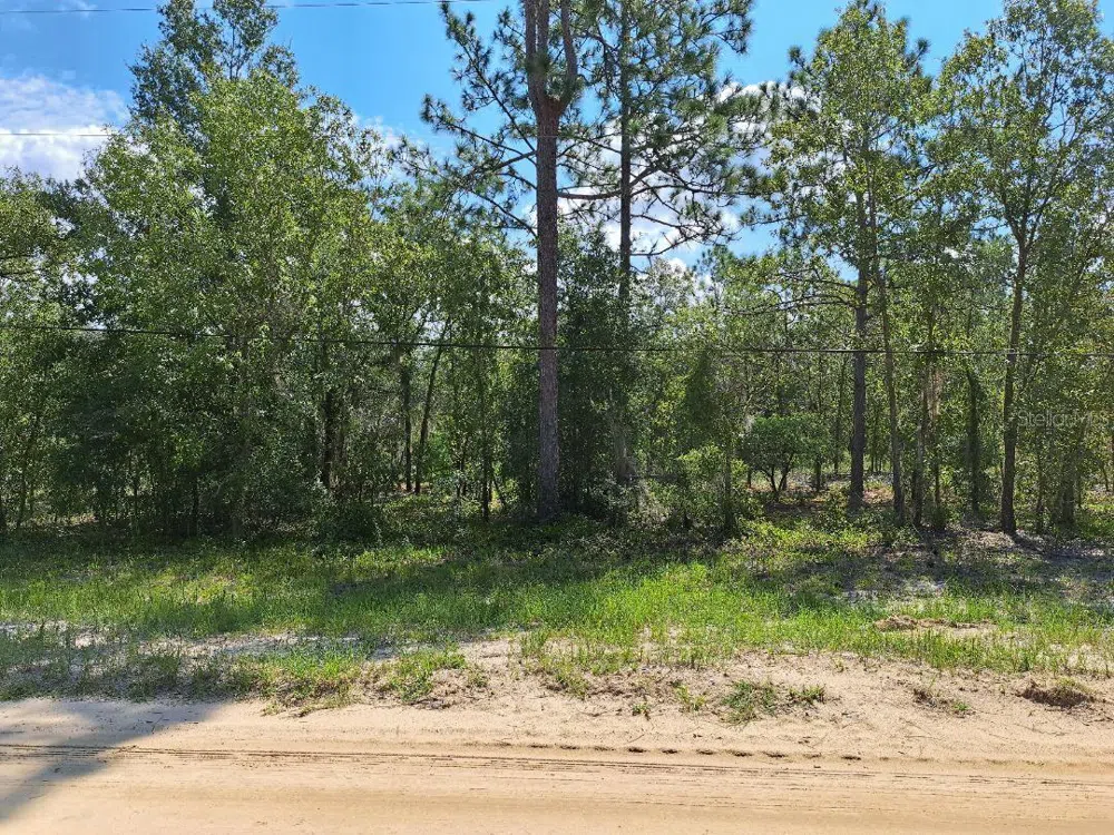 216 HIGHLAND DRIVE Hawthorne, FL 32640