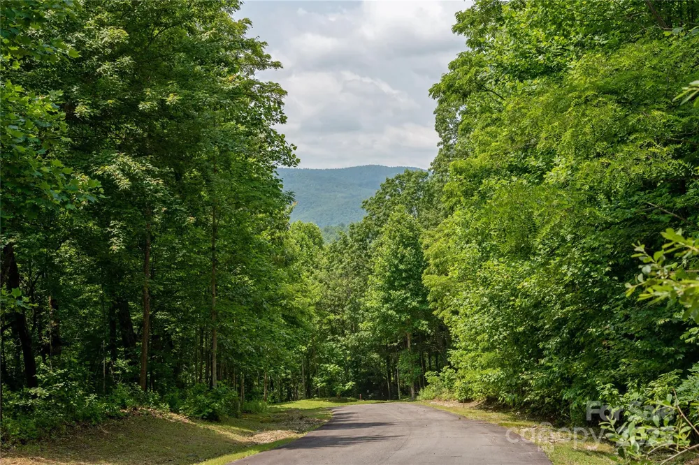 120 Ivywood Lane Laurel Park, NC 28739