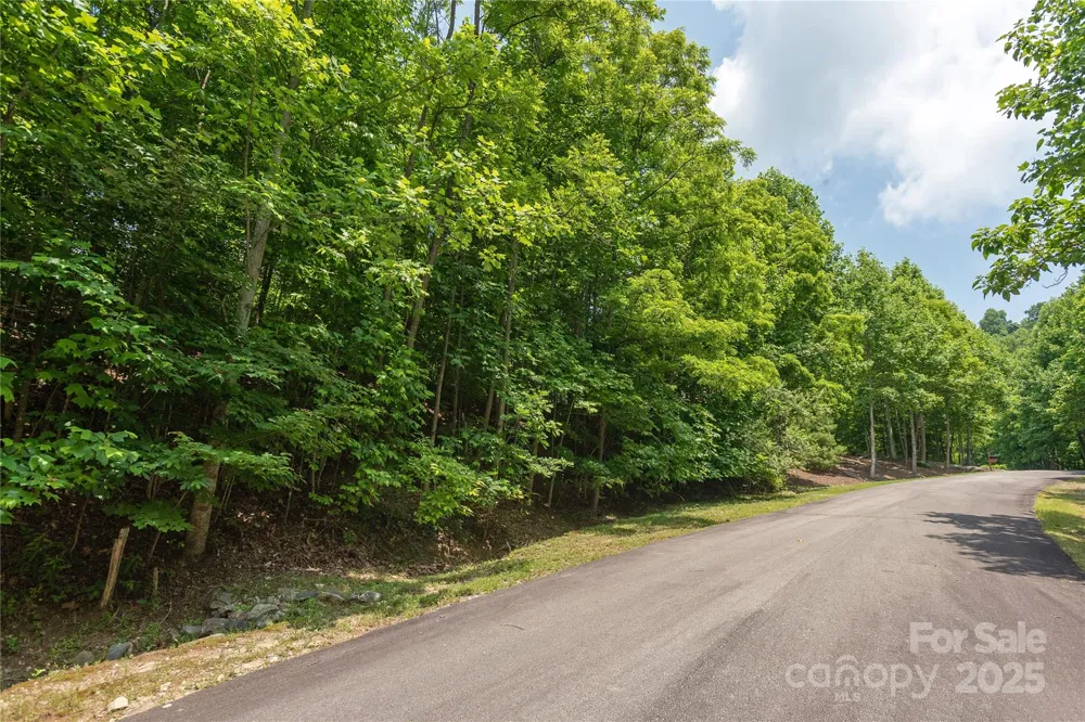 120 Ivywood Lane Laurel Park, NC 28739