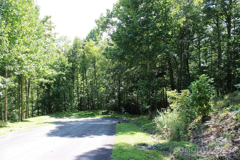 120 Ivywood Lane Laurel Park, NC 28739