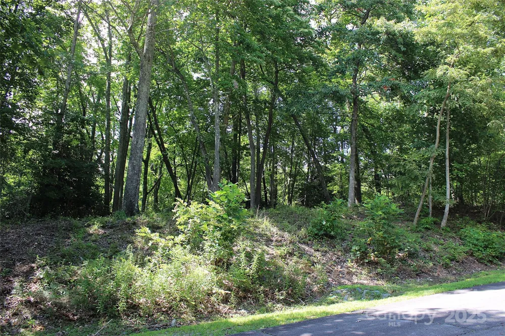 120 Ivywood Lane Laurel Park, NC 28739
