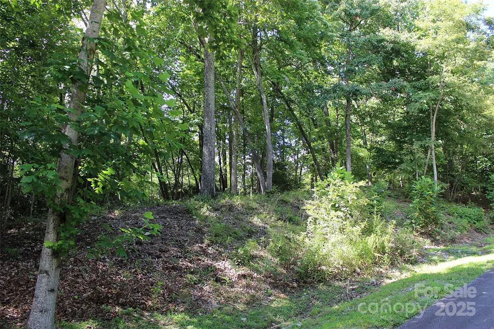 120 Ivywood Lane Laurel Park, NC 28739
