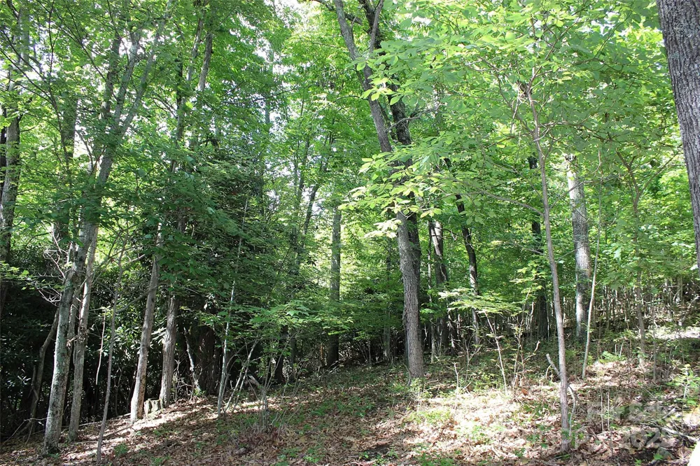 120 Ivywood Lane Laurel Park, NC 28739