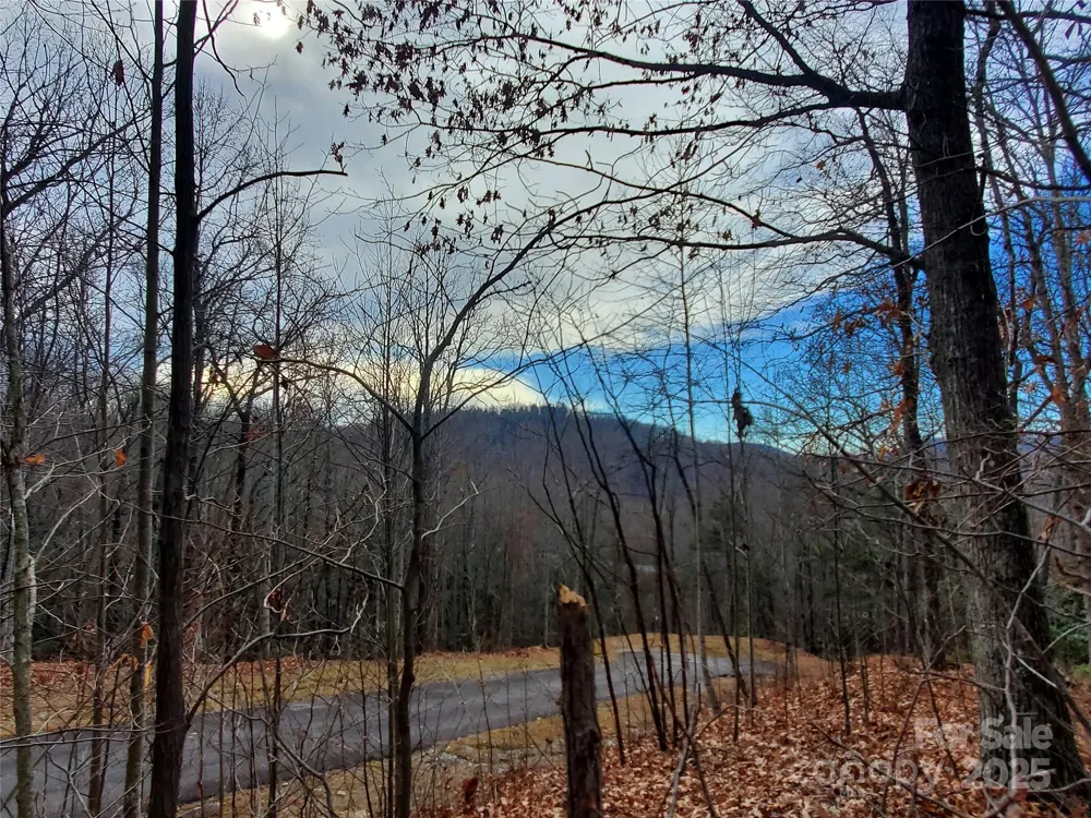 120 Ivywood Lane Laurel Park, NC 28739