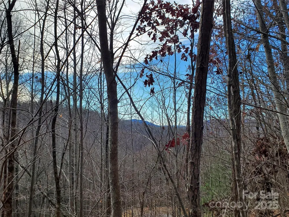 120 Ivywood Lane Laurel Park, NC 28739