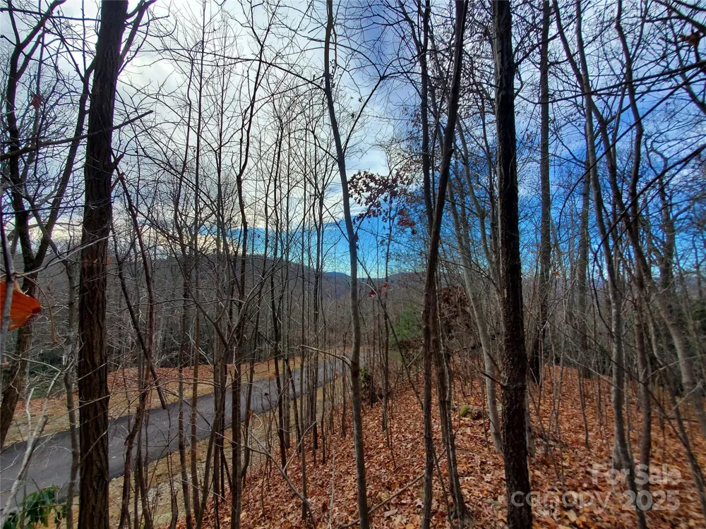 120 Ivywood Lane Laurel Park, NC 28739