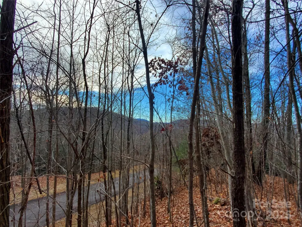 120 Ivywood Lane Laurel Park, NC 28739