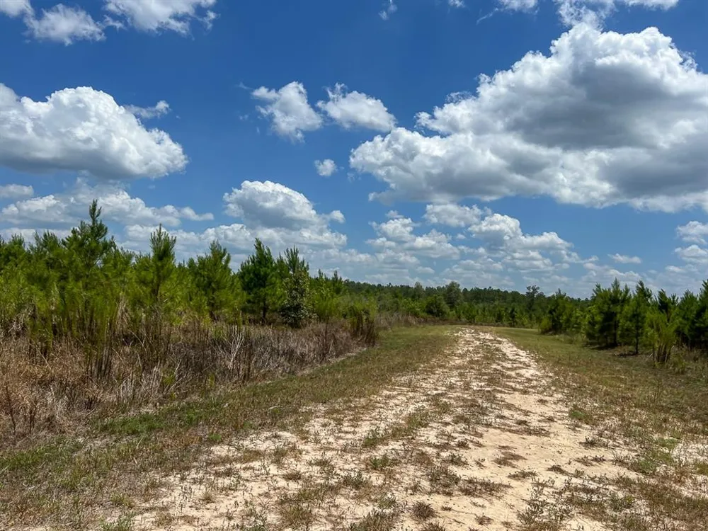 US 69 Woodville, TX 77664