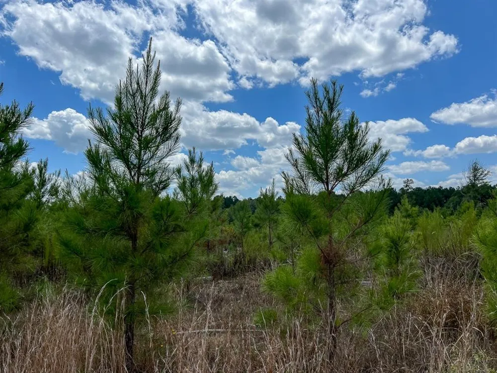 US 69 Woodville, TX 77664