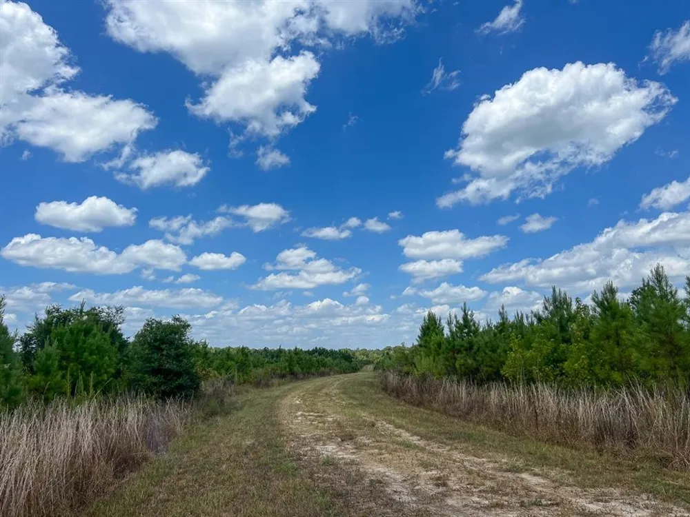 US 69 Woodville, TX 77664