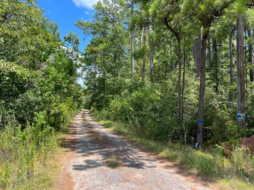 US 69 Woodville, TX 77664