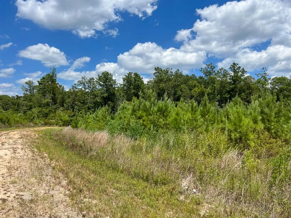 US 69 Woodville, TX 77664
