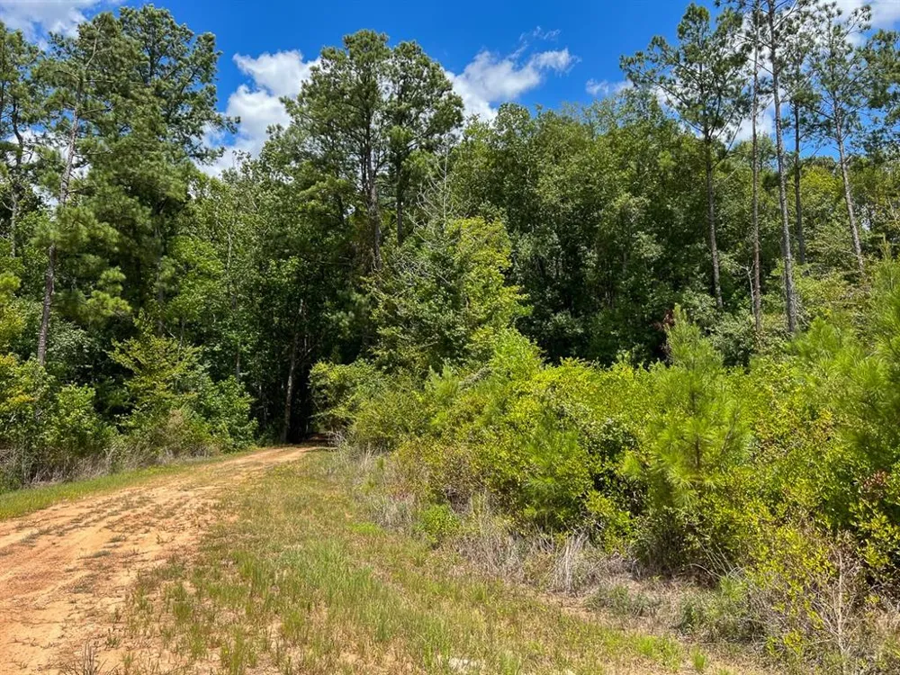 US 69 Woodville, TX 77664
