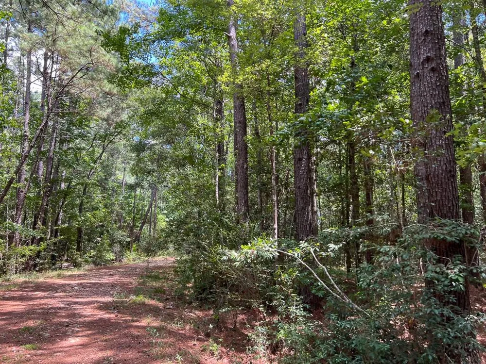 US 69 Woodville, TX 77664
