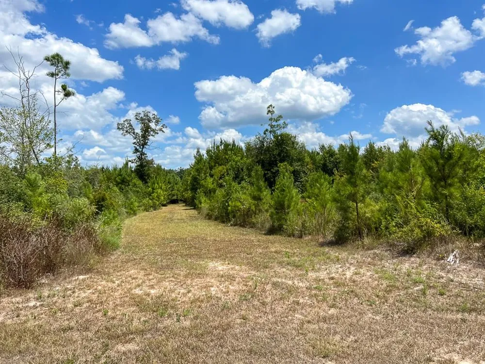 US 69 Woodville, TX 77664