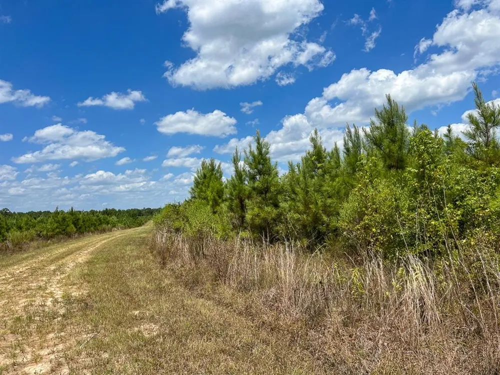 US 69 Woodville, TX 77664