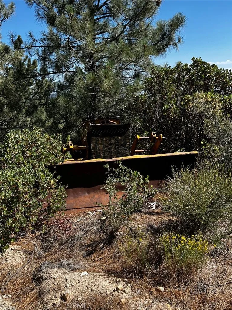 35194 Pyramid Running Springs, CA 92382
