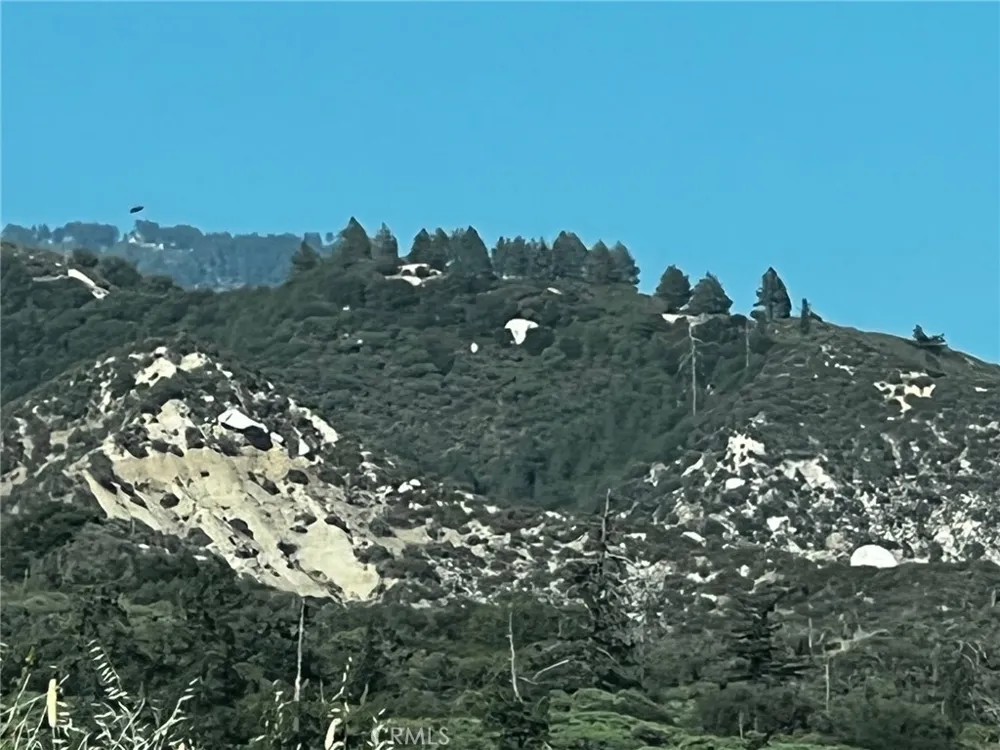 35194 Pyramid Running Springs, CA 92382