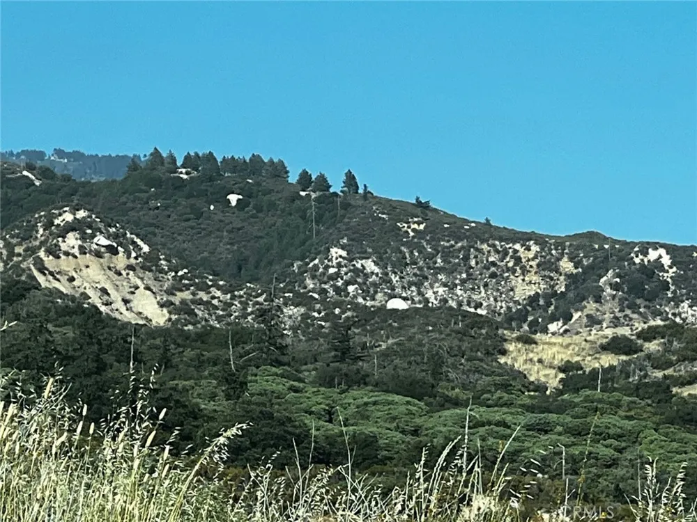35194 Pyramid Running Springs, CA 92382