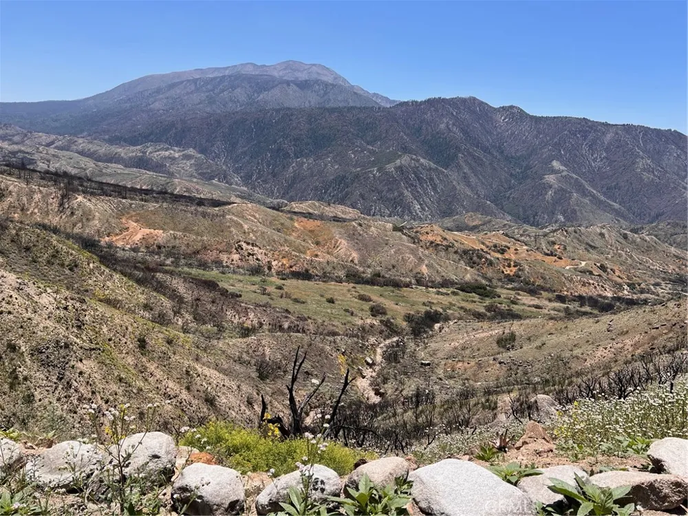 35194 Pyramid Running Springs, CA 92382