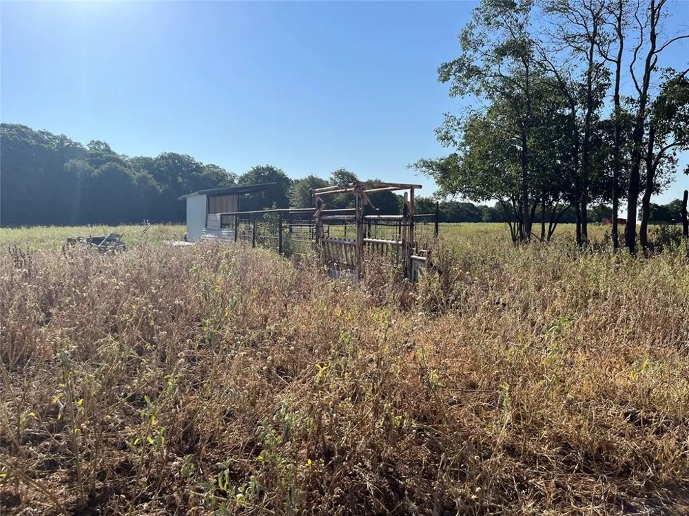 207 County Road 125 Comanche, TX 76442