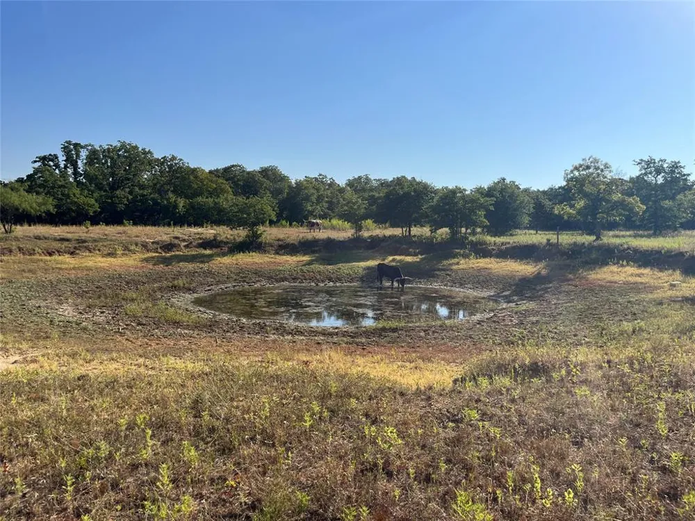 207 County Road 125 Comanche, TX 76442