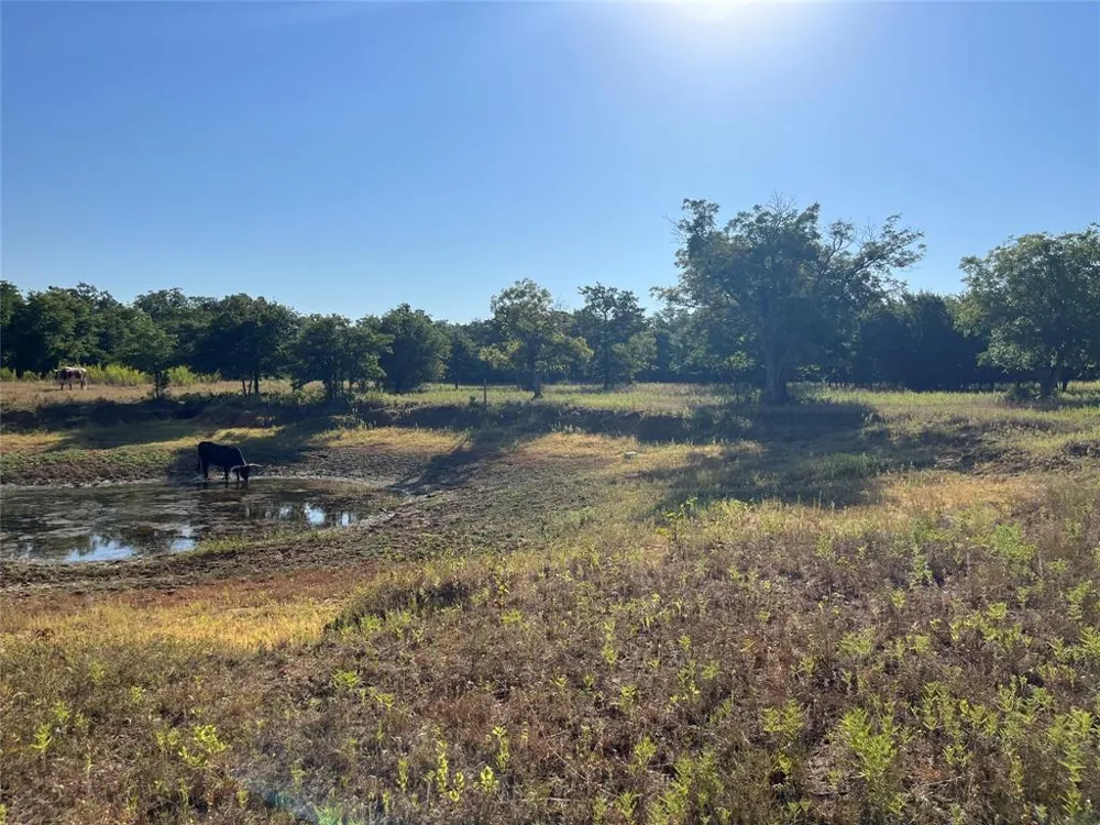 207 County Road 125 Comanche, TX 76442